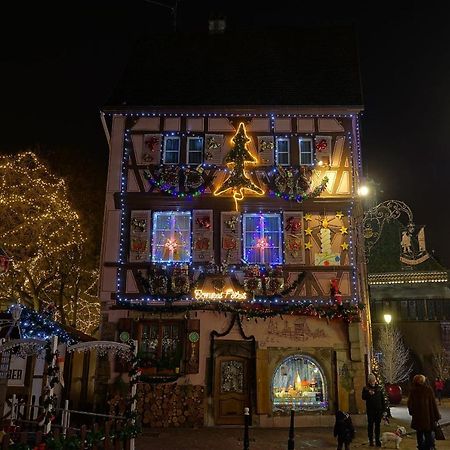 Historical Town Center Spacious Flat Colmar Eksteriør billede
