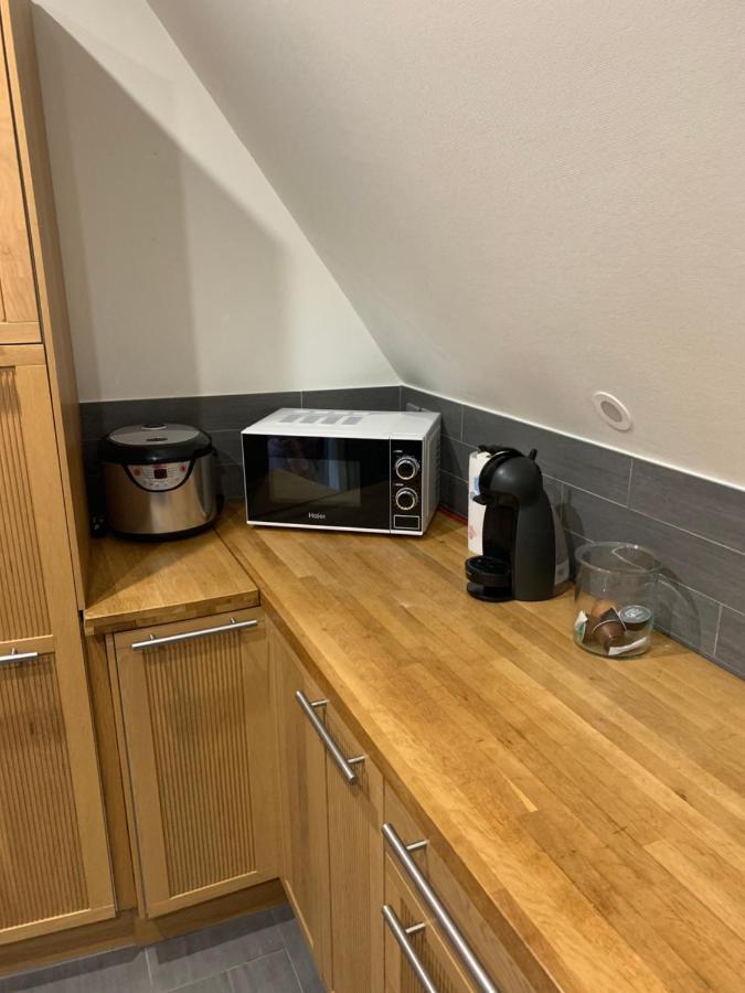 Historical Town Center Spacious Flat Colmar Eksteriør billede
