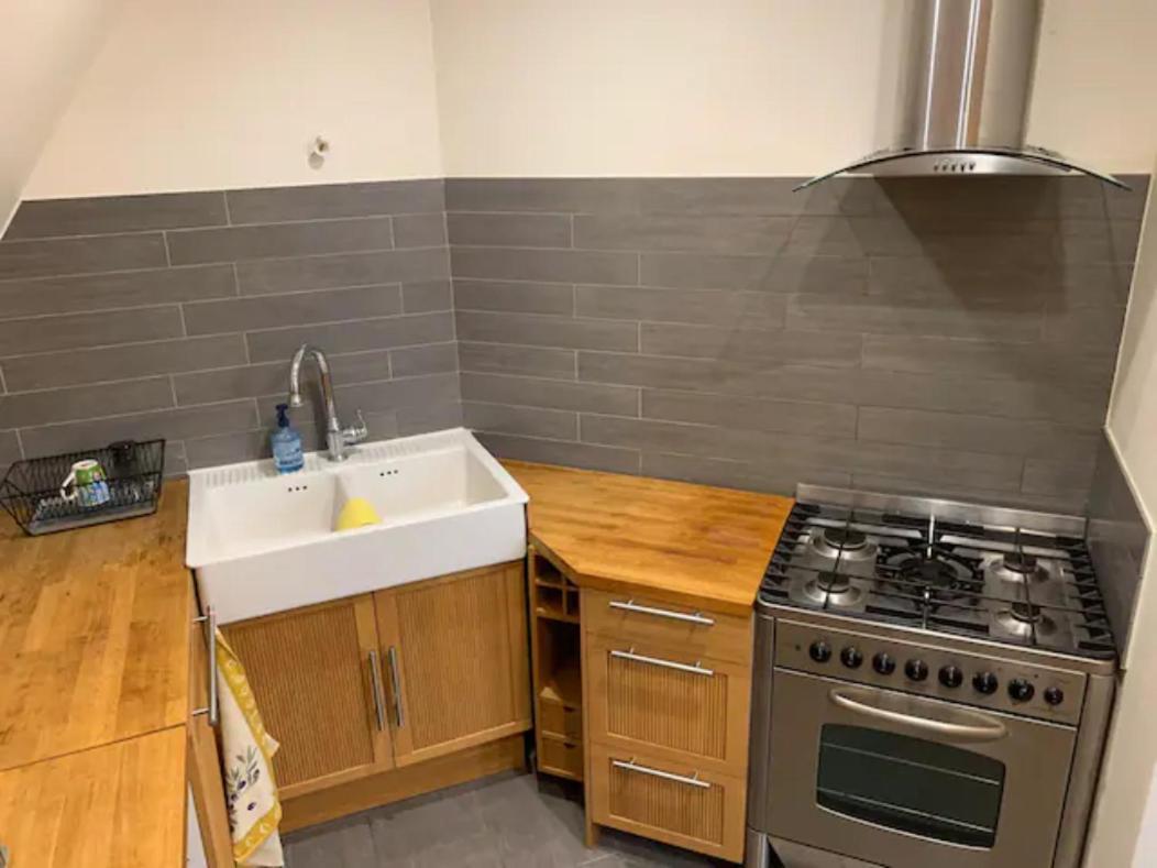 Historical Town Center Spacious Flat Colmar Eksteriør billede