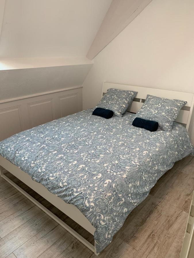 Historical Town Center Spacious Flat Colmar Eksteriør billede