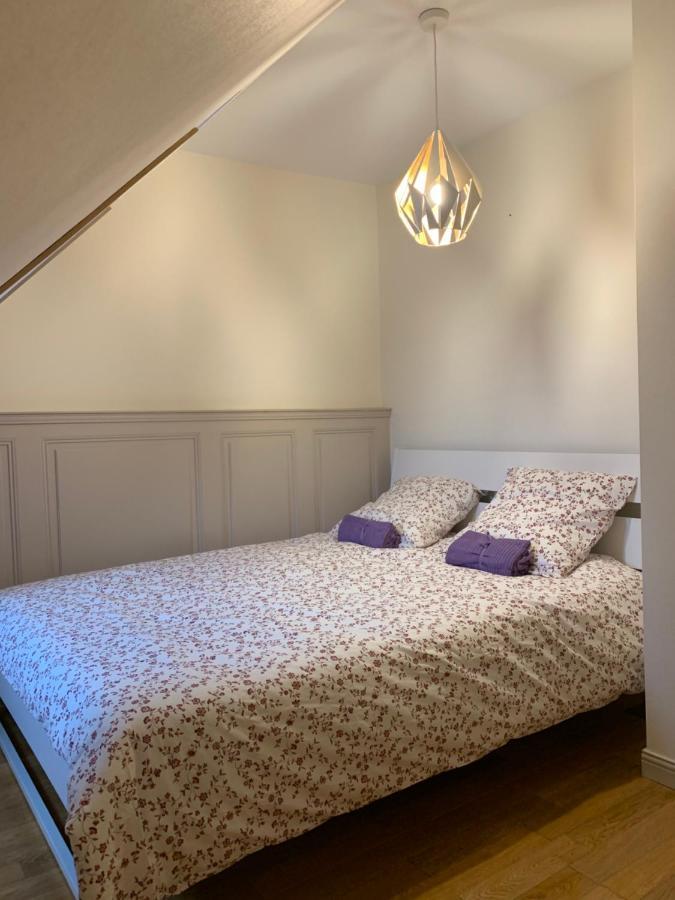 Historical Town Center Spacious Flat Colmar Eksteriør billede
