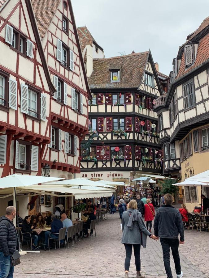 Historical Town Center Spacious Flat Colmar Eksteriør billede