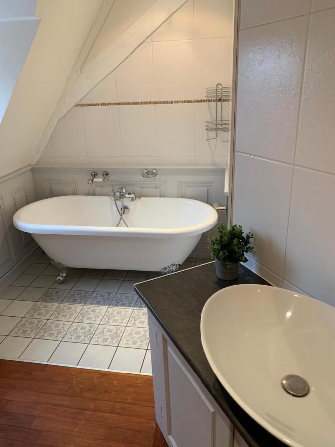 Historical Town Center Spacious Flat Colmar Eksteriør billede