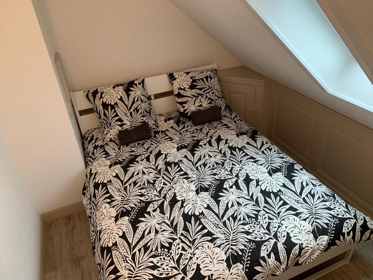 Historical Town Center Spacious Flat Colmar Eksteriør billede