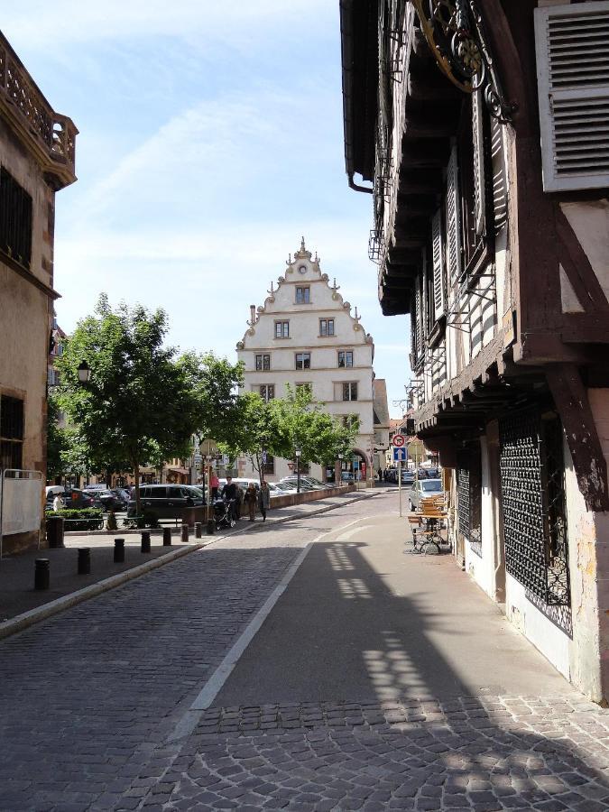 Historical Town Center Spacious Flat Colmar Eksteriør billede