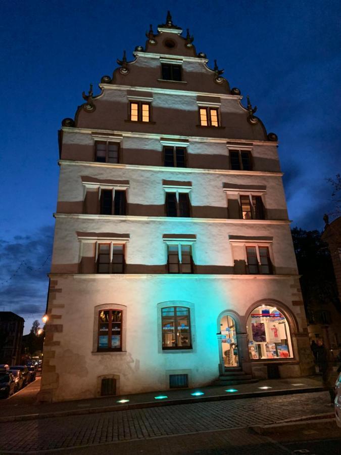 Historical Town Center Spacious Flat Colmar Eksteriør billede