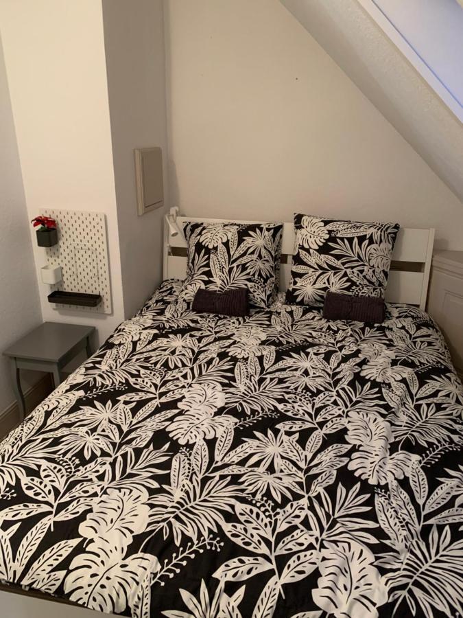 Historical Town Center Spacious Flat Colmar Eksteriør billede