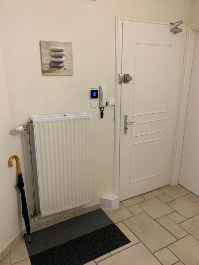 Historical Town Center Spacious Flat Colmar Eksteriør billede
