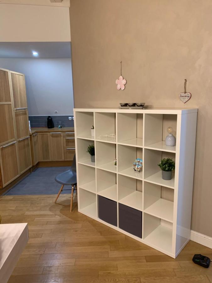 Historical Town Center Spacious Flat Colmar Eksteriør billede