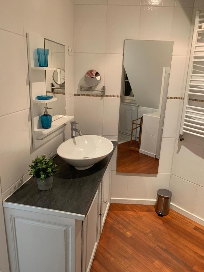 Historical Town Center Spacious Flat Colmar Eksteriør billede