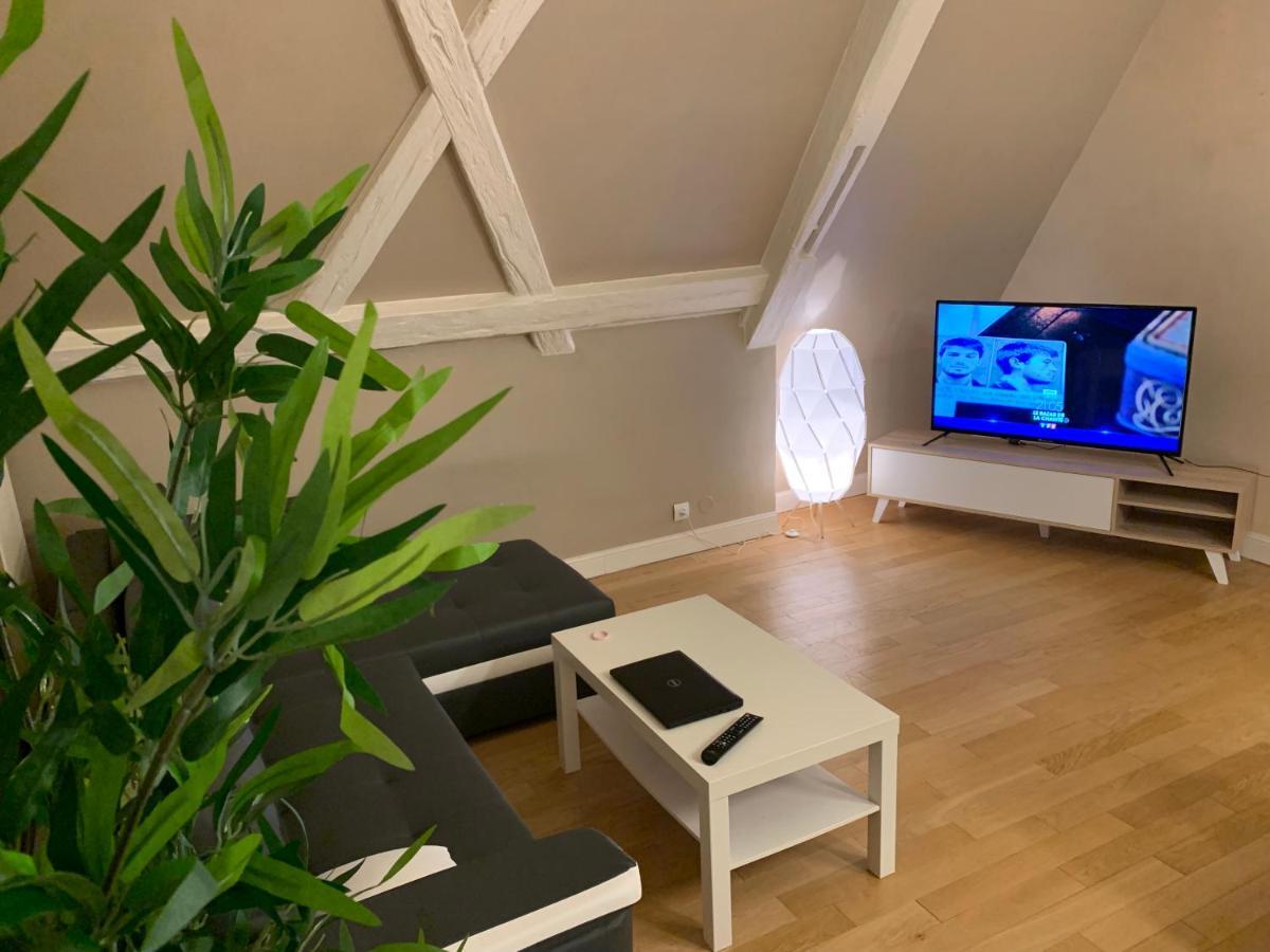 Historical Town Center Spacious Flat Colmar Eksteriør billede