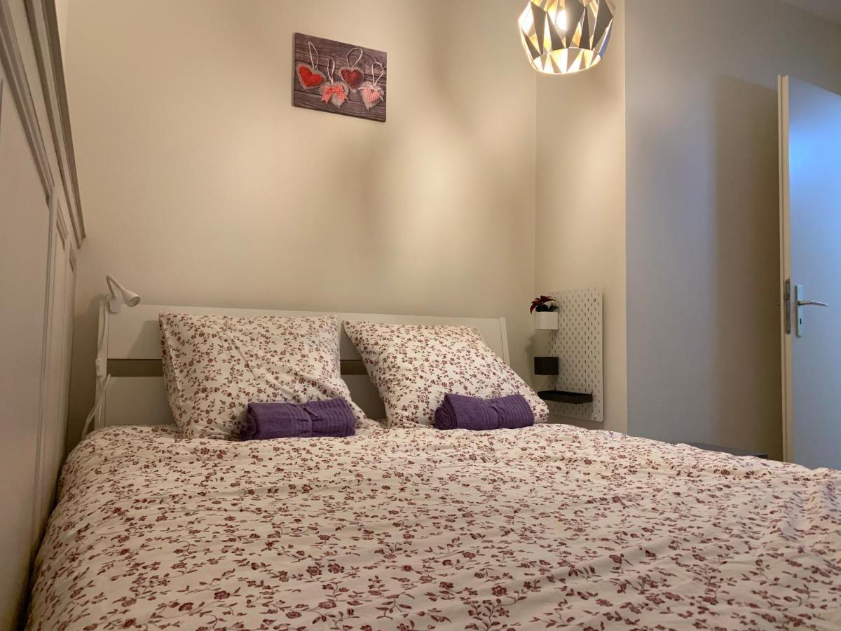 Historical Town Center Spacious Flat Colmar Eksteriør billede