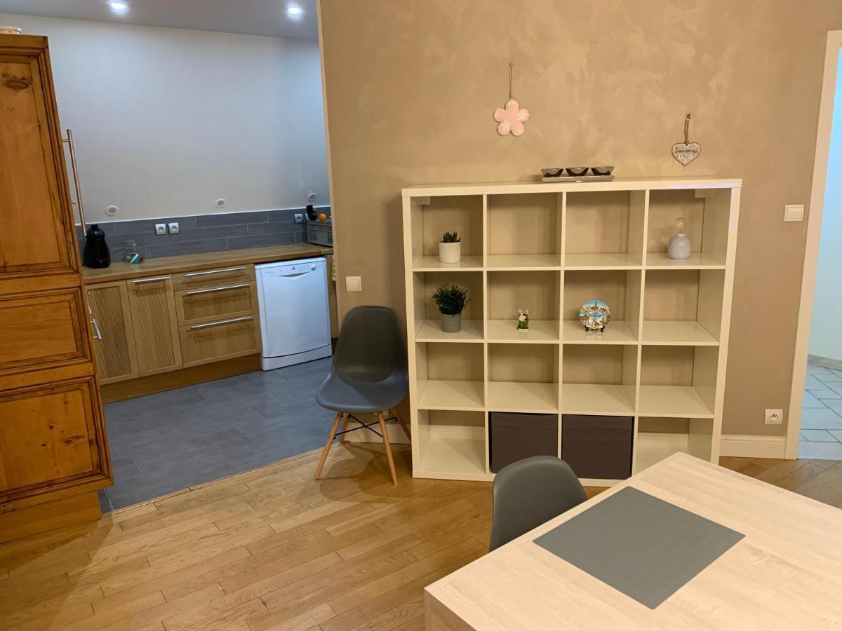 Historical Town Center Spacious Flat Colmar Eksteriør billede