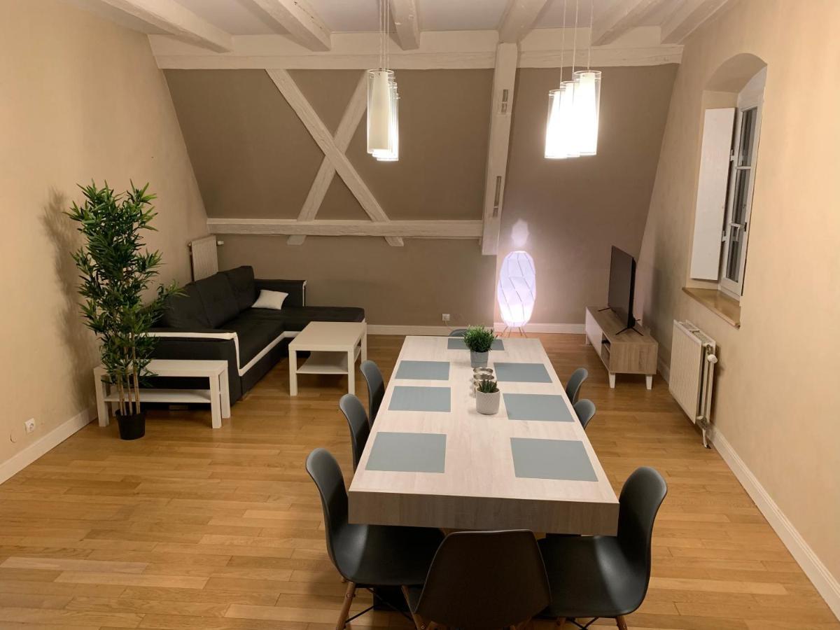 Historical Town Center Spacious Flat Colmar Eksteriør billede