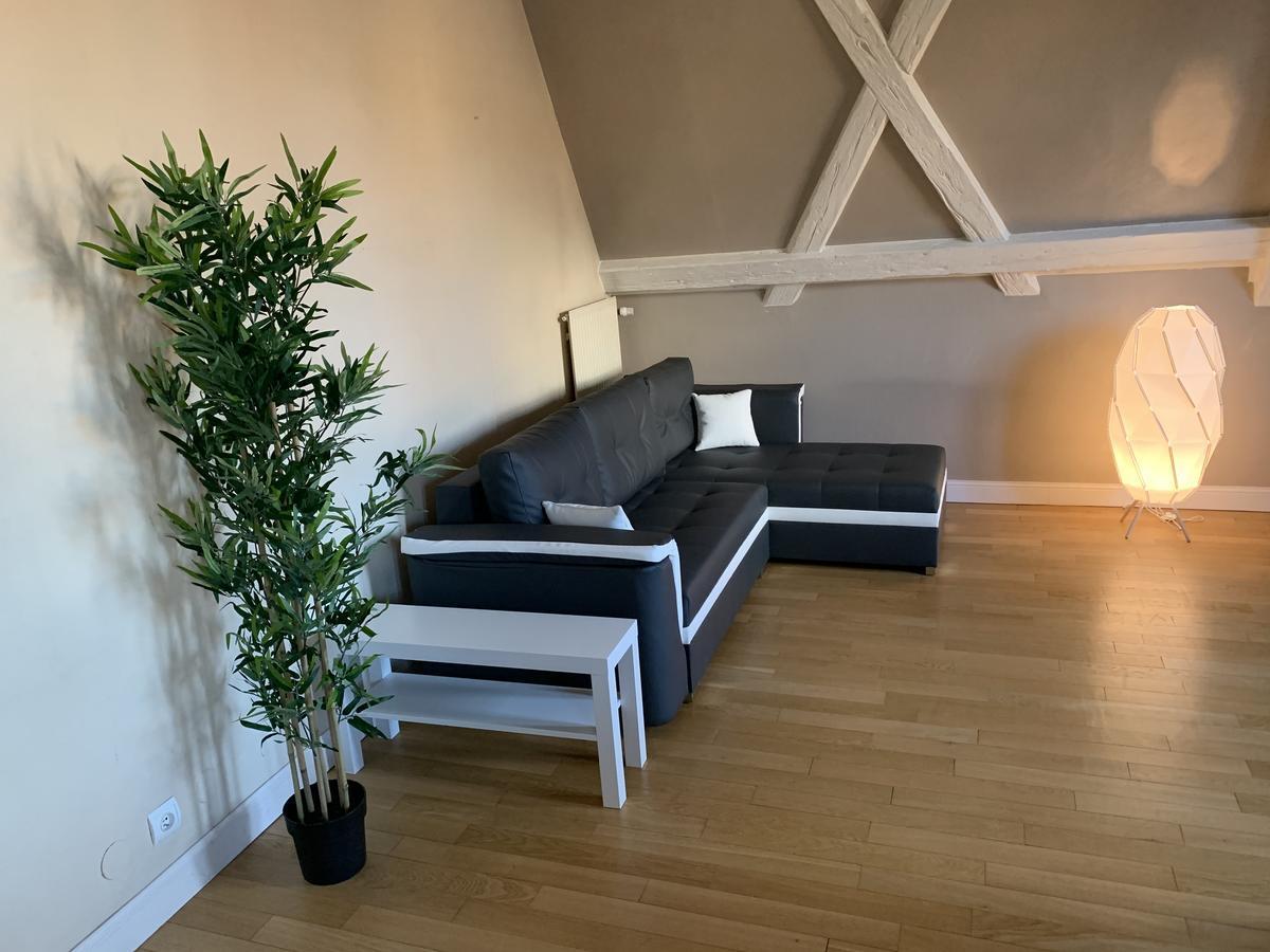 Historical Town Center Spacious Flat Colmar Eksteriør billede